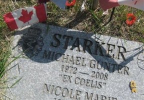 Corp Michael Gunter Starker Corp Michael Gunter Starker