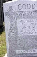 Michael J. Codd