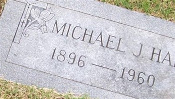 Michael J Haig