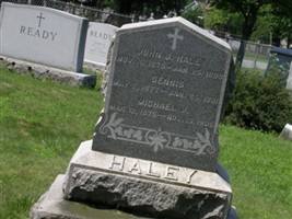 Michael J Haley