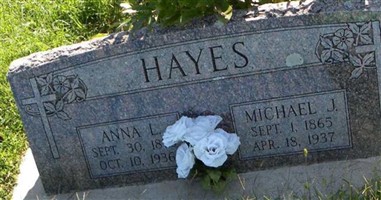Michael J Hayes