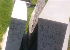 Michael J McDonnell