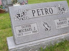 Michael J Petro