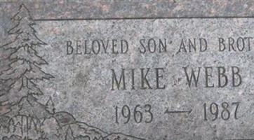 Michael J. Webb Michael J. Webb