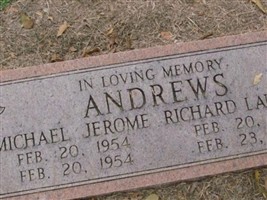 Michael Jerome Andrews Michael Jerome Andrews