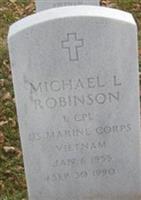 Michael L Robinson