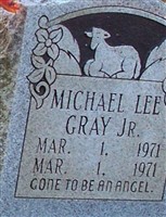 Michael Lee Gray, Jr Michael Lee Gray, Jr