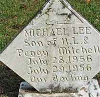 Michael Lee Mitchell Michael Lee Mitchell