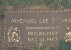 Michael Lee Stevens Michael Lee Stevens