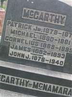 Michael McCarthy Michael McCarthy