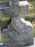 Michael McCarthy Michael McCarthy