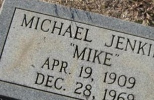 Michael "Mike" Jenkins Michael "Mike" Jenkins