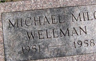 Michael Milo Wellman