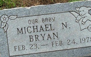 Michael N. Bryan