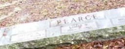 Michael N. Pearce Michael N. Pearce