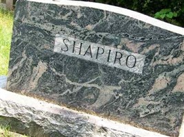 Michael Shapiro Michael Shapiro