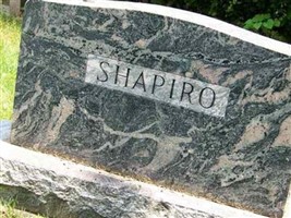 Michael Shapiro