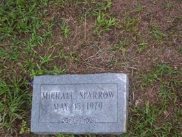 Michael Sparrow Michael Sparrow