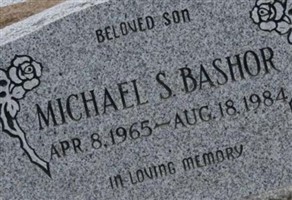 Michael Steven Bashor Michael Steven Bashor