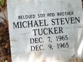 Michael Steven Tucker Michael Steven Tucker
