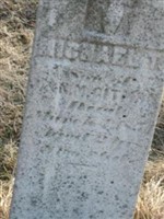 Michael T. Gitman