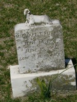 Michael Taylor Furkin