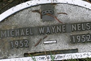 Michael Wayne Nelson Michael Wayne Nelson