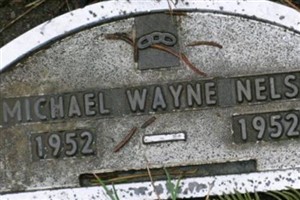 Michael Wayne Nelson