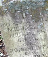 Michaelis Nicholas Diehl Michaelis Nicholas Diehl
