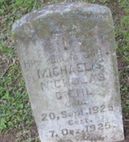 Michaelis Nicholas Diehl Michaelis Nicholas Diehl