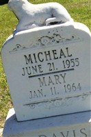 Micheal Davis Micheal Davis