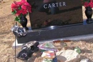 Micheal Lynn "Mike" Carter