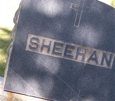Micheal Sheehan
