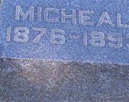 Micheal Sheehan