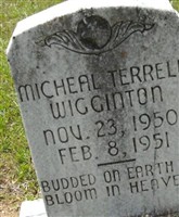 Micheal Terrell Wigginton Micheal Terrell Wigginton