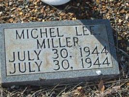 Michel Lee Miller
