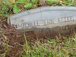Michele Ann Bales