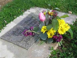 Michelle Cathleen Whaley Olsen Michelle Cathleen Whaley Olsen