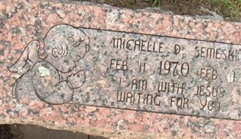Michelle D. Semeski