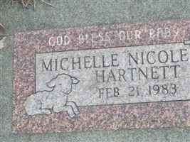 Michelle Nicole Hartnett Michelle Nicole Hartnett
