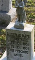 Michelle Raye Painter