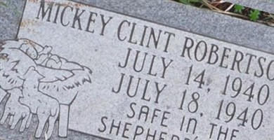Mickey Clint Robertson