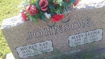 Mickey Ray Johnson