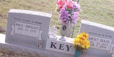 Micky Diane Key