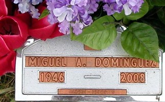 Miguel A. Dominguez Miguel A. Dominguez