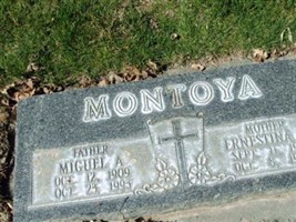 Miguel A Montoya