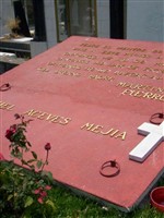 Miguel Aceves Mejia