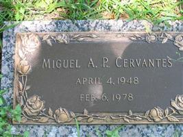 Miguel A P Cervantes