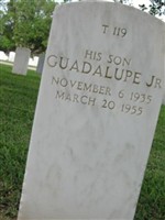 Miguel Gaudalupe San