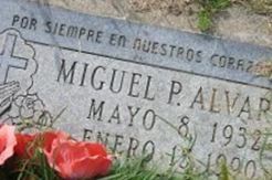 Miguel P Alvarez Miguel P Alvarez